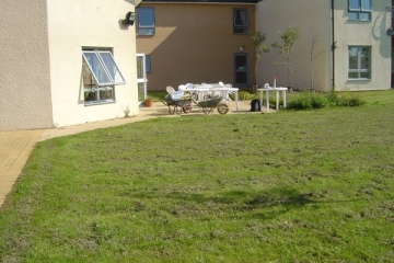 Raised Beds & Patio Area