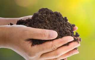 Which soil or compost, soil, compost, garden, gardening, landscaping, landscapers, decking, fencing, turfing, garden design, maintenance, green Onion Landscaping , Teesside , darlington, Cleveland, Teesvalley