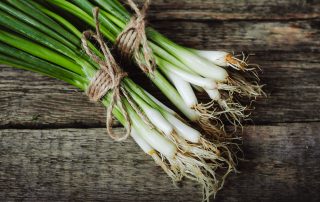 Spring onions, green onions, green onion landscaping, landscapers, landscaping, Teesside, Stockton, Middlesbrough, Darlington,