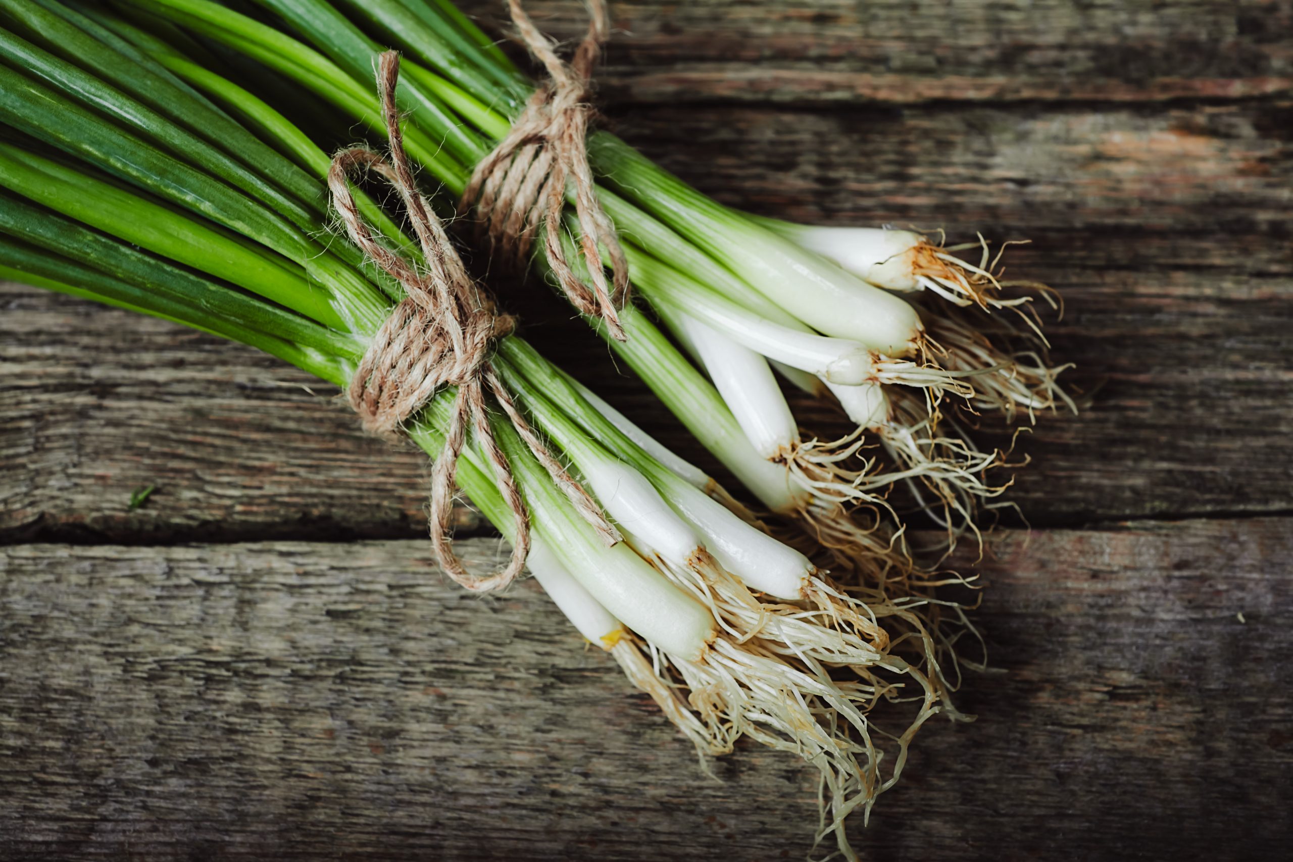 Spring onions, green onions, green onion landscaping, landscapers, landscaping, Teesside, Stockton, Middlesbrough, Darlington,