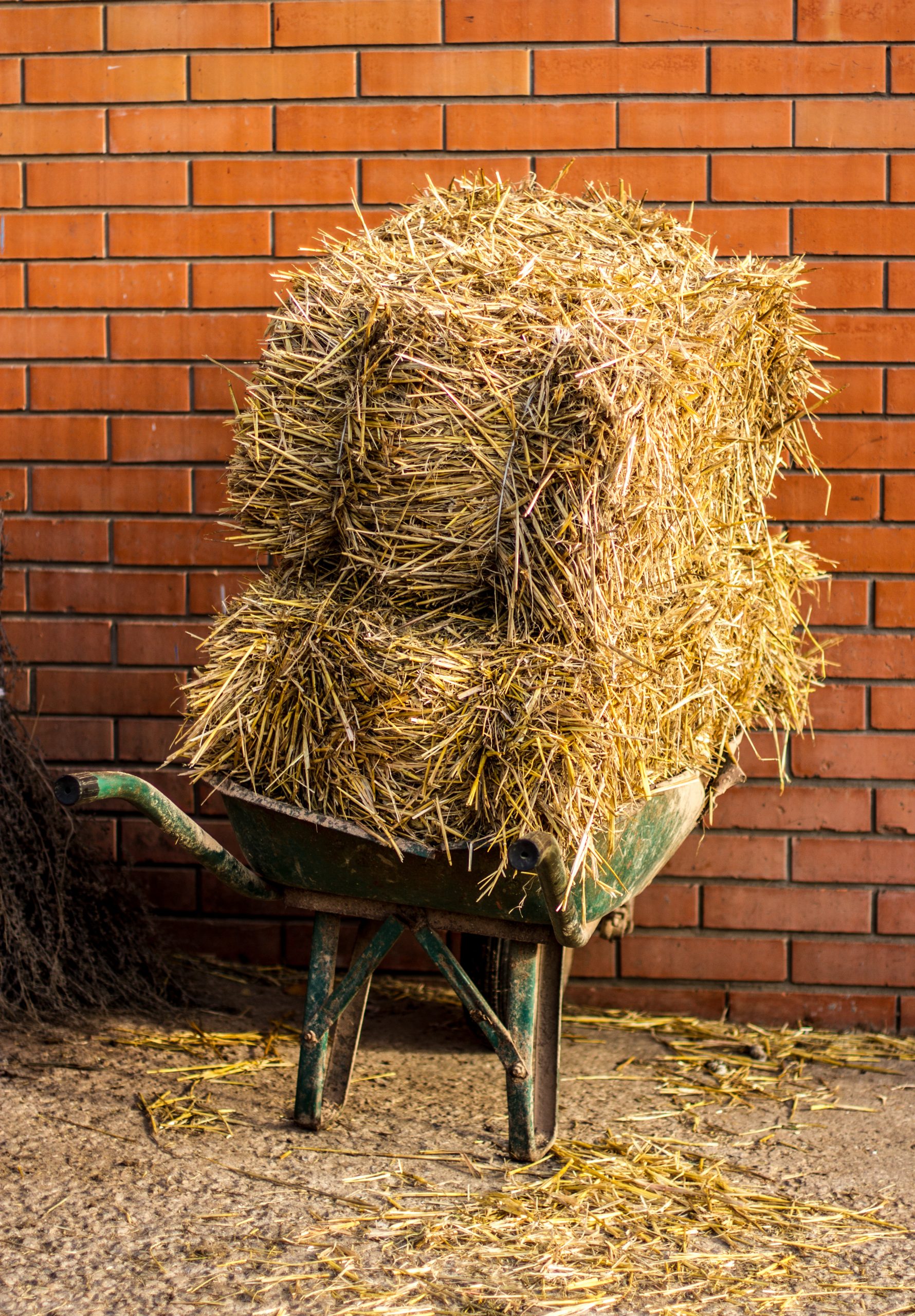 Hay bale, raised beds, vegetables, gardening, compost, landscaping, garden, growing vegetables, landscapers, Teesside, Middlesbrough, Stockton, Cleveland