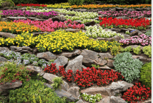 rock garden, rockery, garden, landscape, garden space, gardens, landscaping, green onion landscaping, County Durham, teesside, stockton 