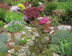 rock garden, rockery, alpine plants, sandy soil, sun, landscaping, landscapers, Green Onion Landscaping, 