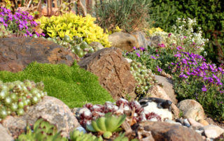 rock garden, rockery, Green Onion landscaping, Middlesbrough, Teesside, Cleveland, landscapers, landscaping, garden design