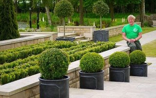 garden design,garden maintenance, hedge trimming, how to design a garden, topiary shaping, pruning, Stockton-on-Tees, Landscaping, Soft landscaping, Buxus balls, Buxus hedging, Green Onion Landscaping, Darlington, Middlesbrough, Teesside