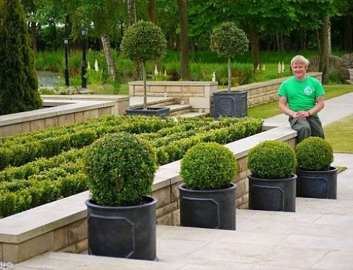 Garden designers north east