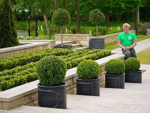 garden design,garden maintenance, hedge trimming, how to design a garden, topiary shaping, pruning, Stockton-on-Tees, Landscaping, Soft landscaping, Buxus balls, Buxus hedging, Green Onion Landscaping, Darlington, Middlesbrough, Teesside