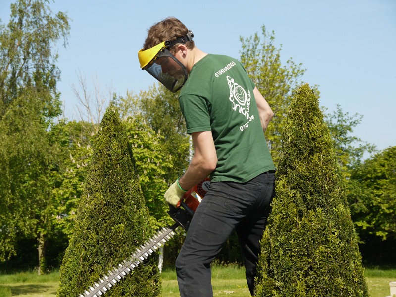 Garden maintenance, hedge cutting, hedge trimming, lawn mowing, lawn edging, lawn treatments, garden tides, tidy ups, weeding, borders turned, stump grinding, jet washing, sweeping, borders tidy, pruning, cutting back, planting shrubs, removing shrubs, Green Onion Landscaping 