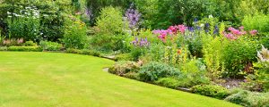 soft landscaping, planting, plants, trees, shrubs, bulbs, Chelsea flowers show, catherine Smith, garden designer, Stockton, Teesside, Middlesbrough, darlington, Cleveland, Teesvalley, Wynyard, Yarm,