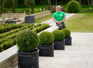 garden maintenance, soft landscaping, garden design, plants, trees, shrubs, flowers, Buxus Balls, Pots, professional garden designers, landscapers, landscaping,turfing, fencing, decking, patios, pergolas, fencing, trellis, plants, shrubs, Stockton, Middlesbrough, Darlington, Teesside,