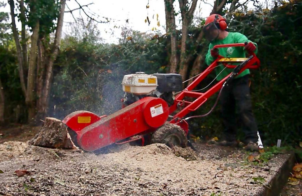 tree stump removal, stump, grinding, stump grinding, tree stump removal, Green Onion landscaping, Stockton, Middlesbrough, Darlington, landscapers, Landscaping, Teesside