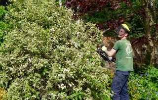 lawn mowing, hedge trimming, garden clearance, garden maintenance, garden tidy, professional landscapers, landscaping, Green Onion Landscaping, Stockton, darlington, Middlesbrough, Teesside,