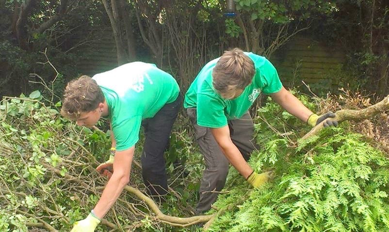 shrub removal, tree felling, tree removal, green waste disposal, Green Onion Landscaping, Garden maintenance, garden tidy, garden clearance, professional landscapers, soft landscaping, Stockton, Middlesbrough, Darlington