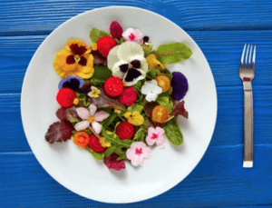 edible-flower-salad-green-onion-landscaping-Teesside-Stockton