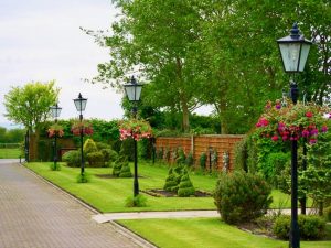 soft landscaping, landscaping, garden design, flowers trees, shrubs, hanging baskets, turf, design, horticulture, English garden, Teesside, Wynyard, Yarm, Hartburn, Fairfield, landscape gardeners, Green Onion Landscaping 