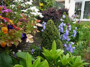 garden borders, planting, soft landscaping, plants, flowers, shrubs, landscaping, garden design, designing garden borders, Green Onion Landscaping, Stockton, Middlesbrough, Darlington