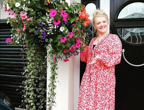 Create a striking summer hanging basket