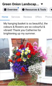 large-huge-multi-floral-stunning-hanging-baskets-teesside-middlesbrough-stcokton-darlington-ingleby-barwick-stainton-green-onion-landscaping-deliveries-collections-fresh-floral