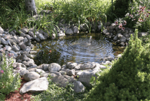 designed and installed Fish pond in great garden to provide enjoyment of ornamental or native fish such as goldfish, shubunkins, or tench, without the complexity of Koi keeping. These ponds can feature planting, filtration, and decorative elements while being easier to manage than Koi ponds.