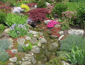rock garden, rockery, alpine plants, sandy soil, sun, landscaping, landscapers, Green Onion Landscaping,