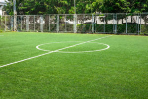 artificial grass, lawn, fake grass, installers, fitters, landscapers, fake lawn products , Green Onion landscaping, Wynyard, yarm, Teesside