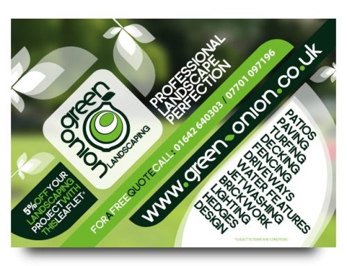 Green Onion Landscaping’s Brand New Look