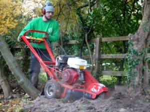 stump grinding, tree stump removal, landscaping, maintenance, garden maintenance, stockton on tees, teesside, North east, County Durham, hedge cutting, lawn mowing, jet washing, weeding, tidying, clearance, Green Onion Landscaping