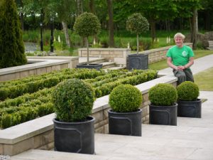 soft landscaping in a garden in Whinney Hill, Stockton on Tees. All plants, trees and shrubs supplied and planted by Green Onion Landscaping. We are garden designers in County Durham.
