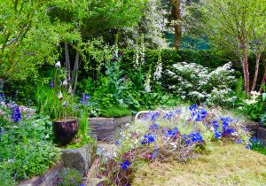 April gardening tips, soft landscaping, planting-garden design, landscapers, local landscapers, gardeners, local landscape gardeners, Yarm, Wynyard, Ingleby Barwick, Maltby, Stainton, Fairfield,turfing, decking, fencing, walls, patio, paving, sandstone, slate