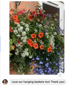 hanging baskets, large, multi-floral, summer, stunning, green onion landscaping, huge hanging baskets, Teesside, County Durham, North Yorkshire, Tees valley,