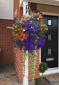 ready made, summer hanging baskets, pre-planted, large, stockton, teesside, Teesvalley, Teesvill, Hartburn, Darlington, Landscapers, Green Onion Landscaping, landscapers
