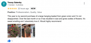 review-green-onion-landscaping-hanging-baskets-local-near- me-