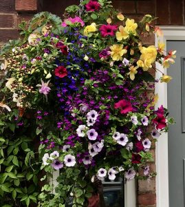 hanging baskets, large, multi floral, colourful, handmade, local, delivery available, Teesside, Stockton, Darlington, County Durham, North Yorkshire, pre-planted, stunning, landscapers,