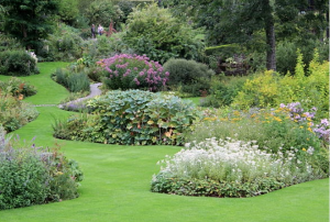 soft landscaping, planting, plants, garden design, Green Onion Landscaping, County Durham, teesside, north east,