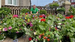summer-haningbaskets-local-big-large-huge-flowers-beautiful-colourful-pink-blue-yellow-white-Green-Onion_landscaping-Landscapers-Teesside-County-Durham-Northeast-