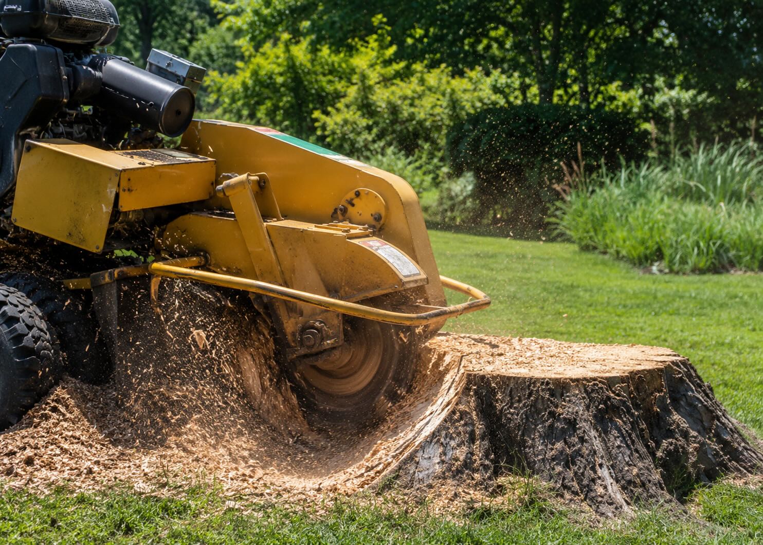 Professional tree stump grinding services in Stockton-on-Tees, Teesside and County Durham by Green Onion Landscaping